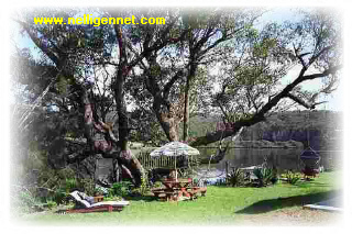 Outside the Cottage on a lazy summer's day - CLICK TO GO TO NEXT PAGE